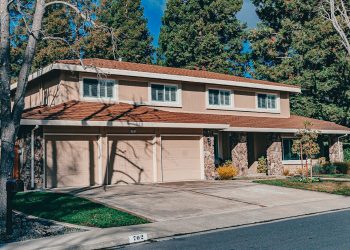 The Rise of Green Buildings: Sustainability in Modern Real Estate