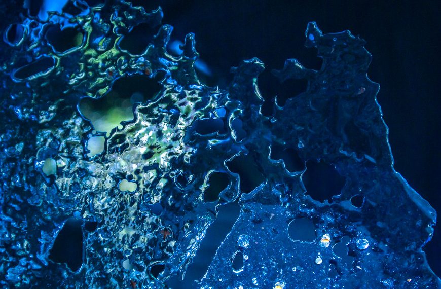 Understanding Aquatic Toxicity and Its Crucial Role in Environmental Protection