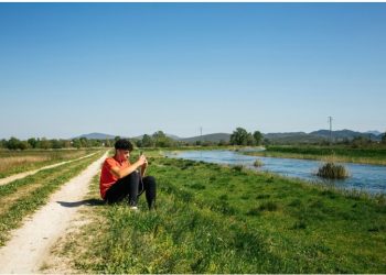 What is a Leach Field? Here’s What You Need to Know