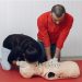 Staying Focused and Calm When Giving CPR: Receive In-Pulse CPR Onsite Training