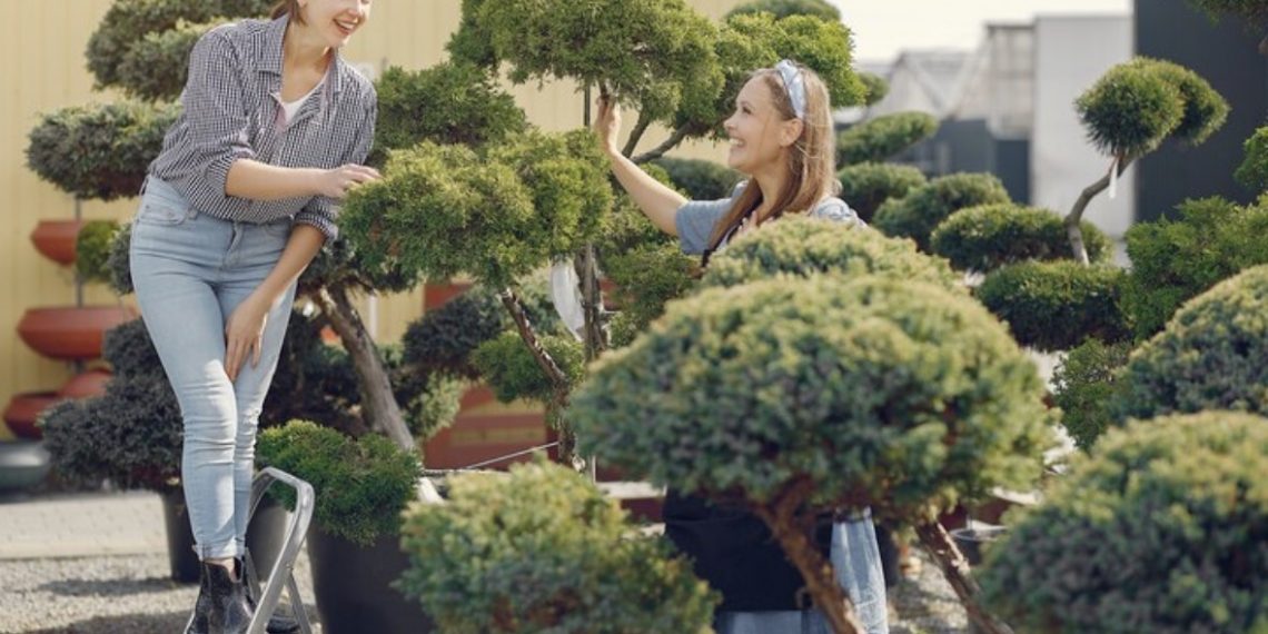 Landscaping Trends Homeowners Can’t Ignore in 2026