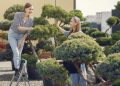 Landscaping Trends Homeowners Can’t Ignore in 2026