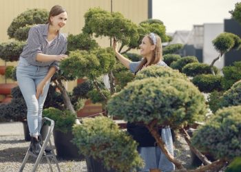 Landscaping Trends Homeowners Can’t Ignore in 2026