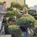 Landscaping Trends Homeowners Can’t Ignore in 2026