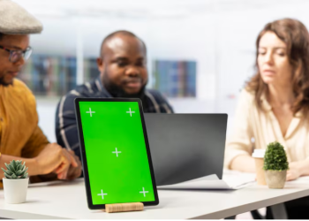 How to use the WS web version