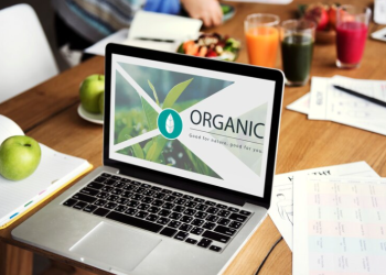 Growing a Sustainable Food Business Online Without Greenwashing