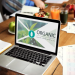 Growing a Sustainable Food Business Online Without Greenwashing